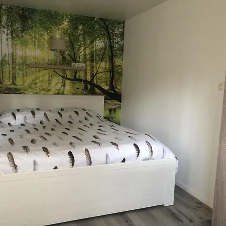 Chalé Het Boetje Van De Veluwe Putten