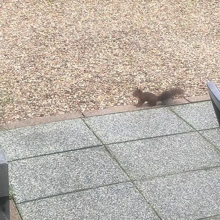 Het Boetje Van De Veluwe Putten